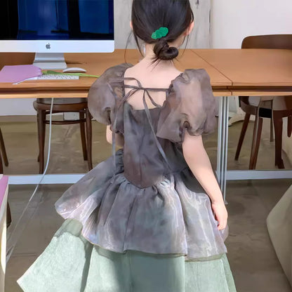 Girl's Bubble Sleeve Korean Style Mesh Princess Dress
