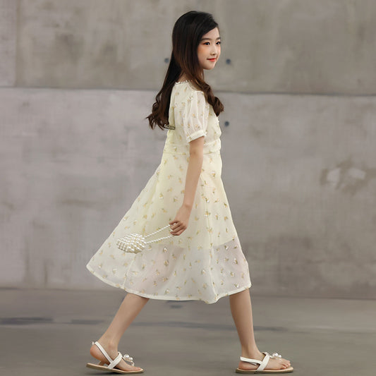 Ice Breeze Girls' Chiffon Floral Dress