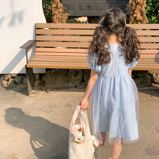 child girl in blue checkered dress with 2 ponytail