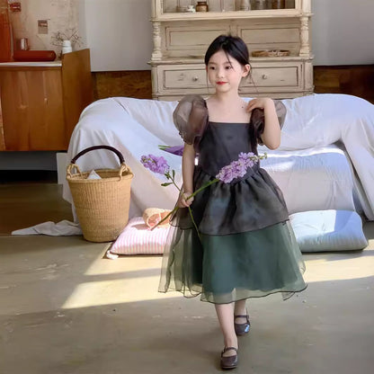 Girl's Bubble Sleeve Korean Style Mesh Princess Dress