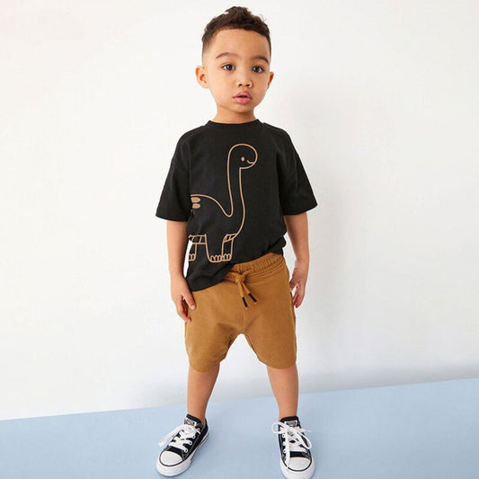 Boys Short Sleeve Two Piece T-shirt and Pants Set